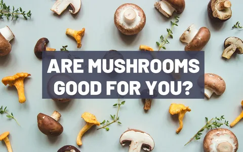 Are Mushrooms Good for You?