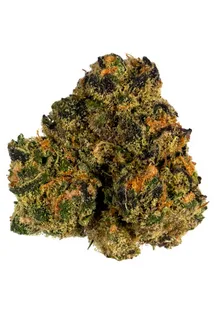 Gabriel Sherbet Marijuana Strain